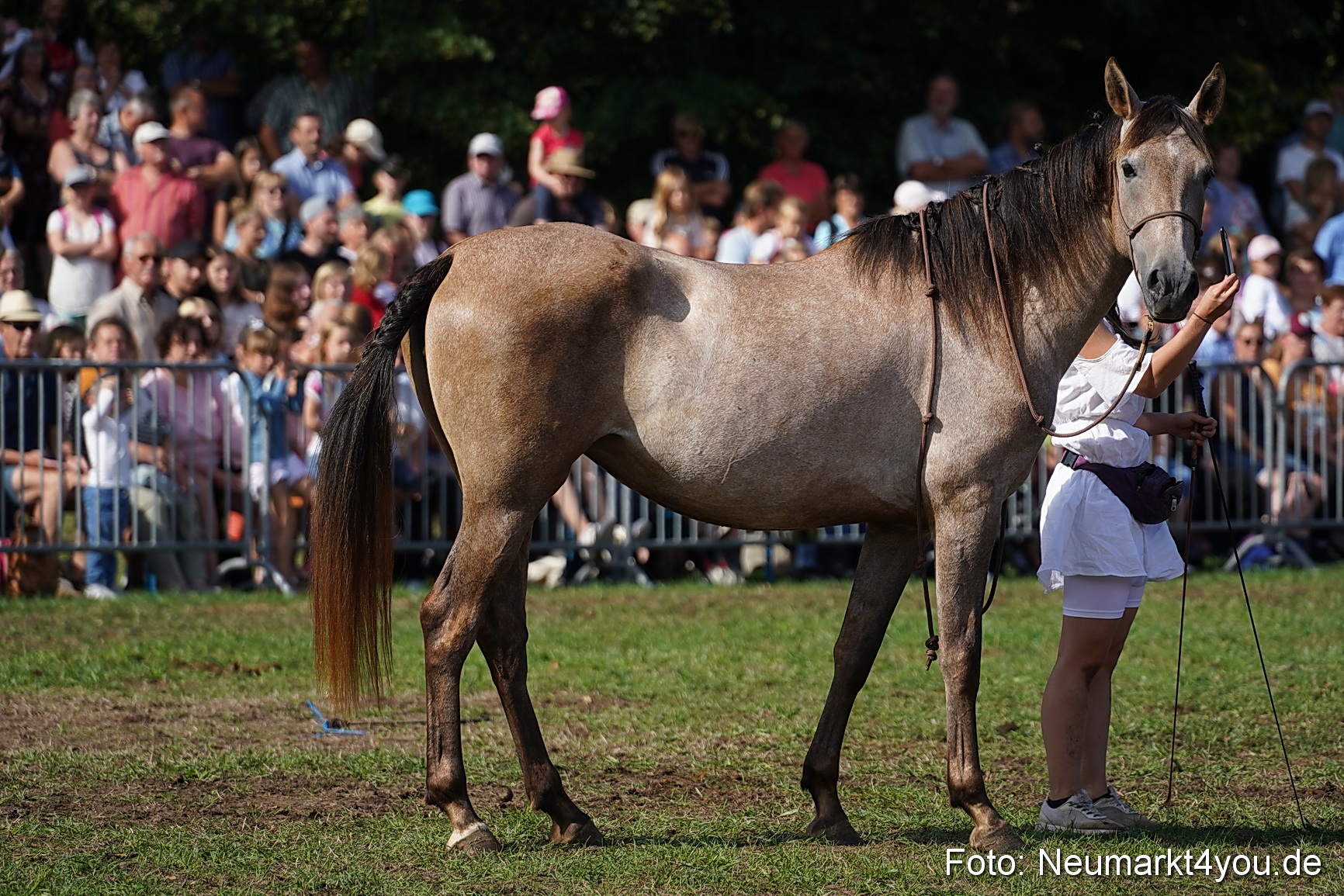 Pferde und Fohlenschau 2022 0158 